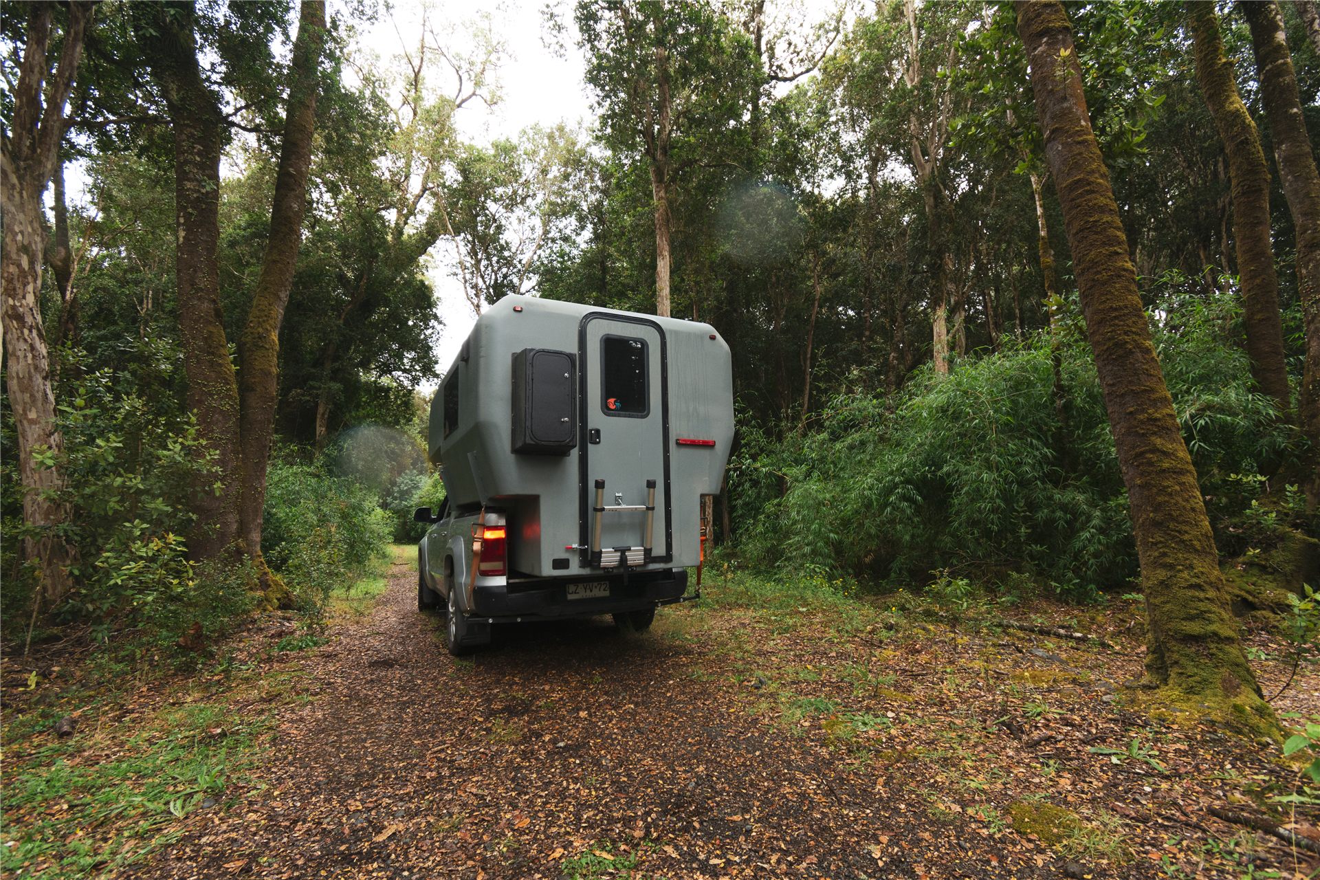 4x4 camper truck on a narrow native forest track